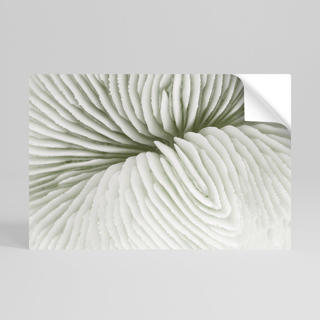 NATURE'S SYMMETRY Poster Horizontal Autocolante