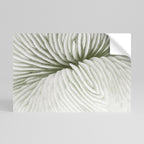 NATURE'S SYMMETRY Poster Horizontal Autocolante