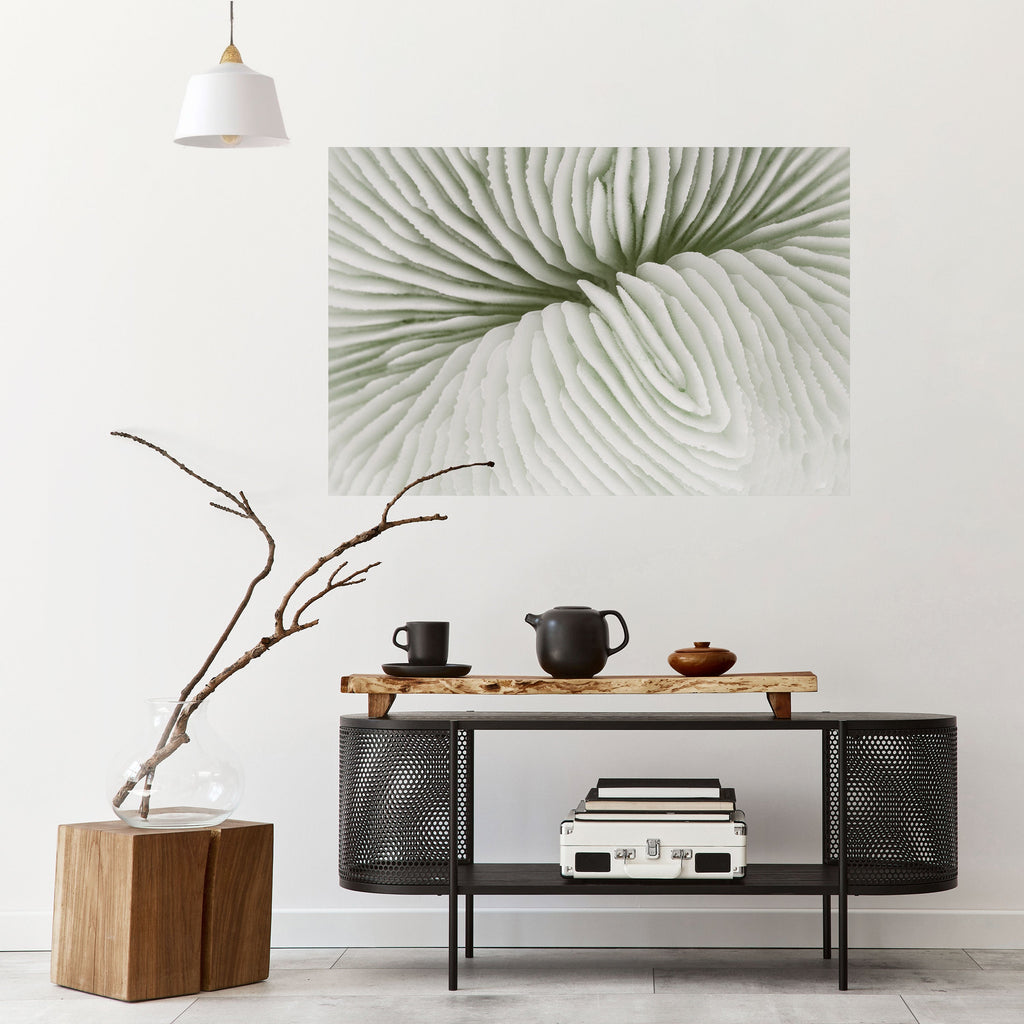 NATURE'S SYMMETRY Poster Horizontal Autocolante