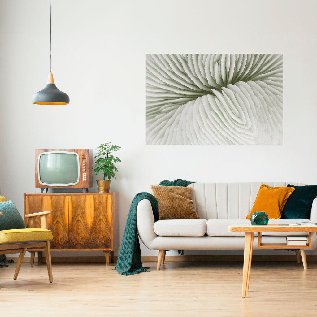 NATURE'S SYMMETRY Poster Horizontal Autocolante