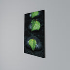 RAINDROPS ON STONE Quadro em tela vertical