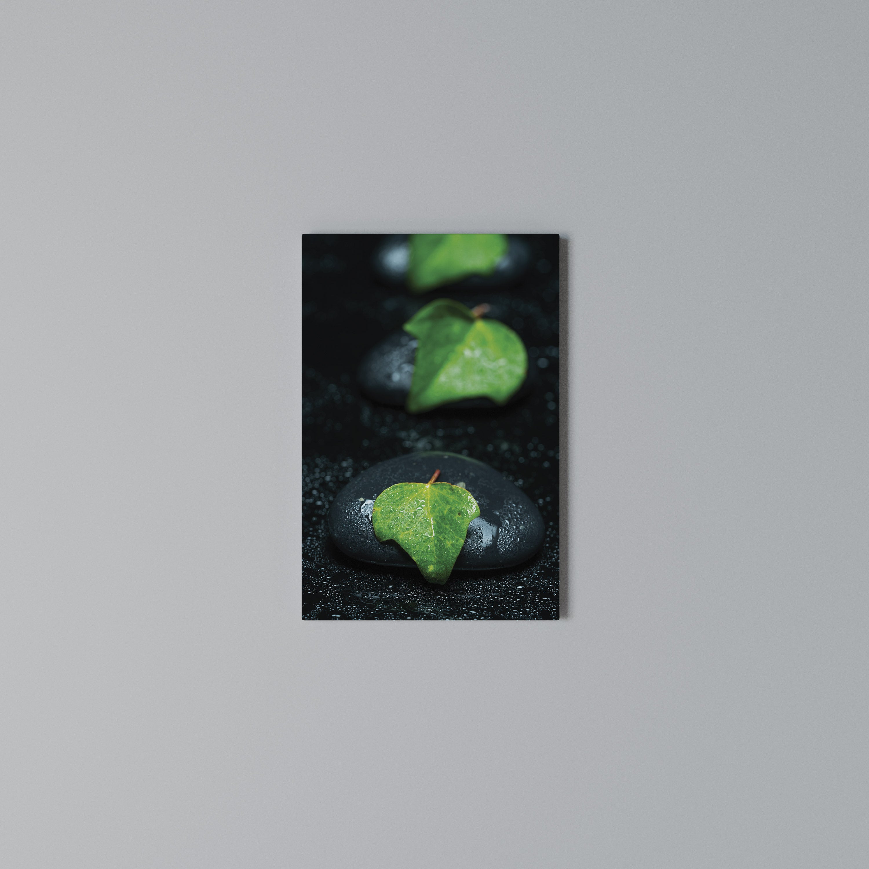 RAINDROPS ON STONE Quadro em tela vertical