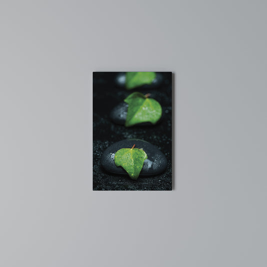 RAINDROPS ON STONE Quadro em tela vertical
