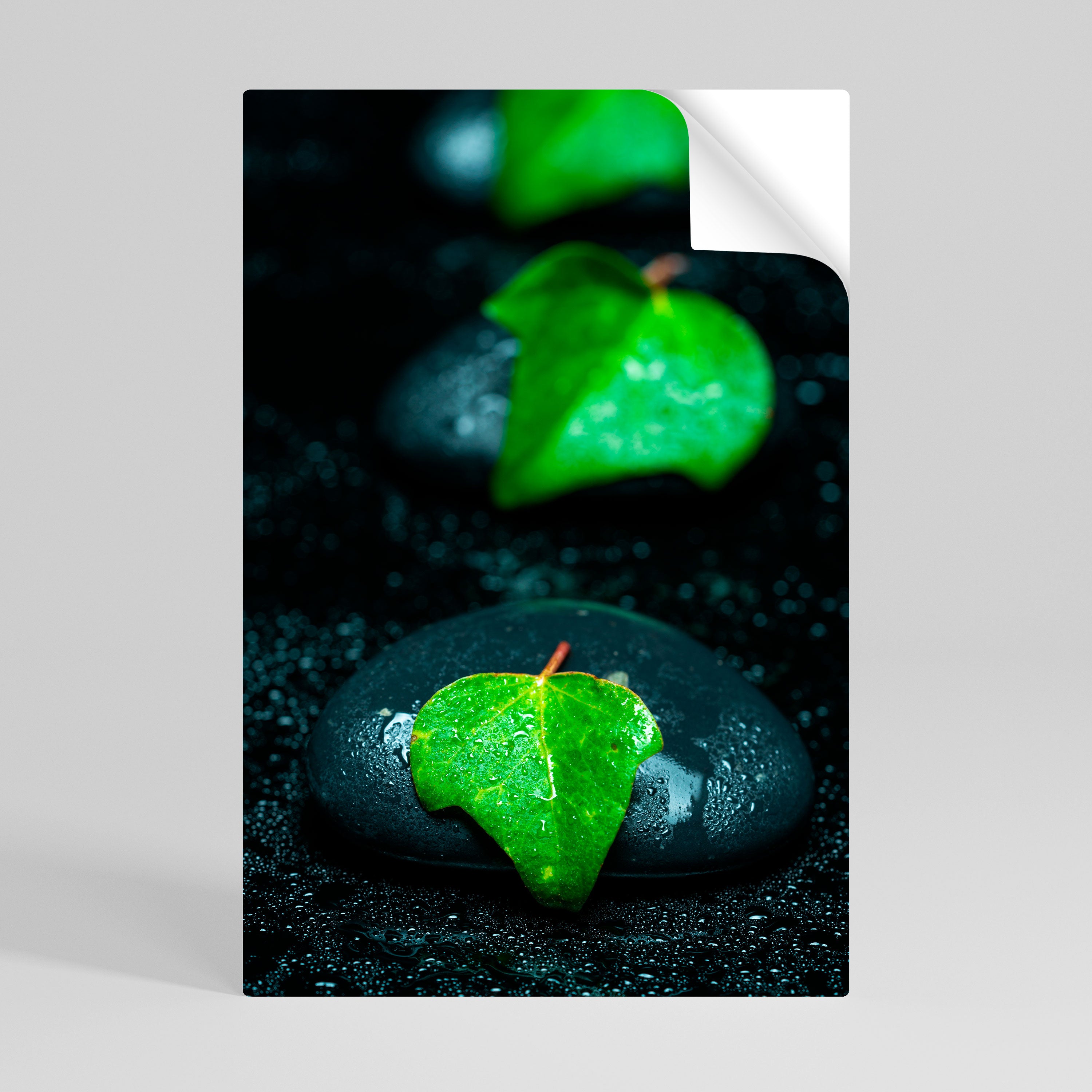 RAINDROPS ON STONE Póster Autocolante Vertical