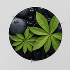 NATURE'S EMBRACE Mesa de Centro 69