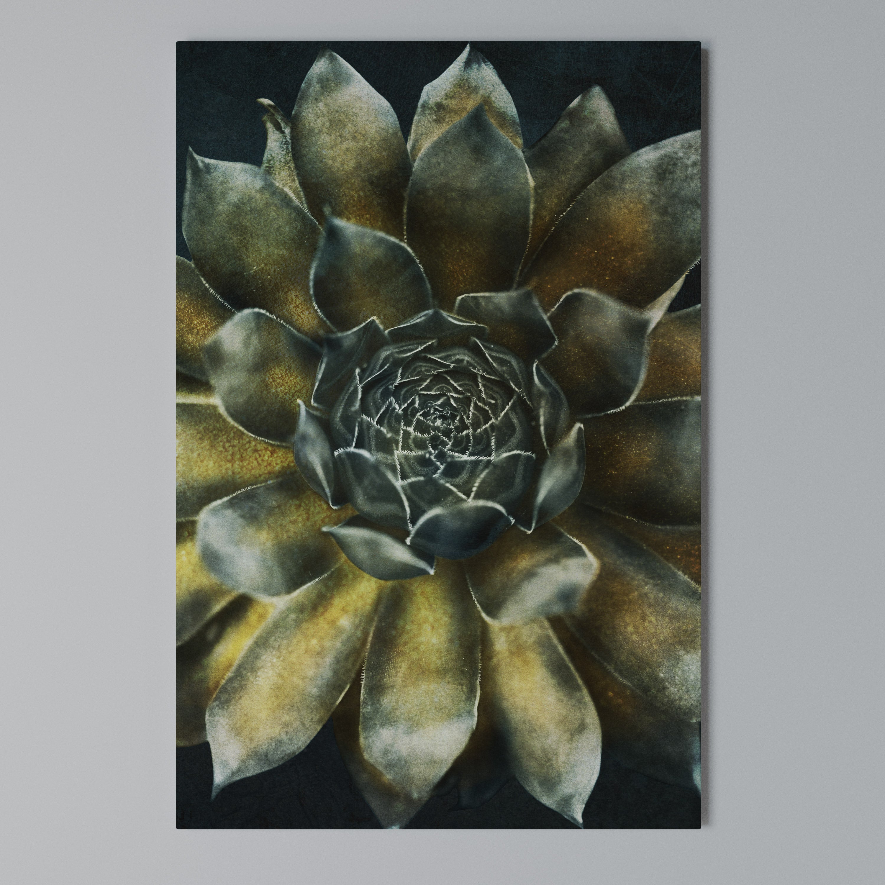 MYSTICAL SUCCULENT WHIRL Quadro em tela vertical