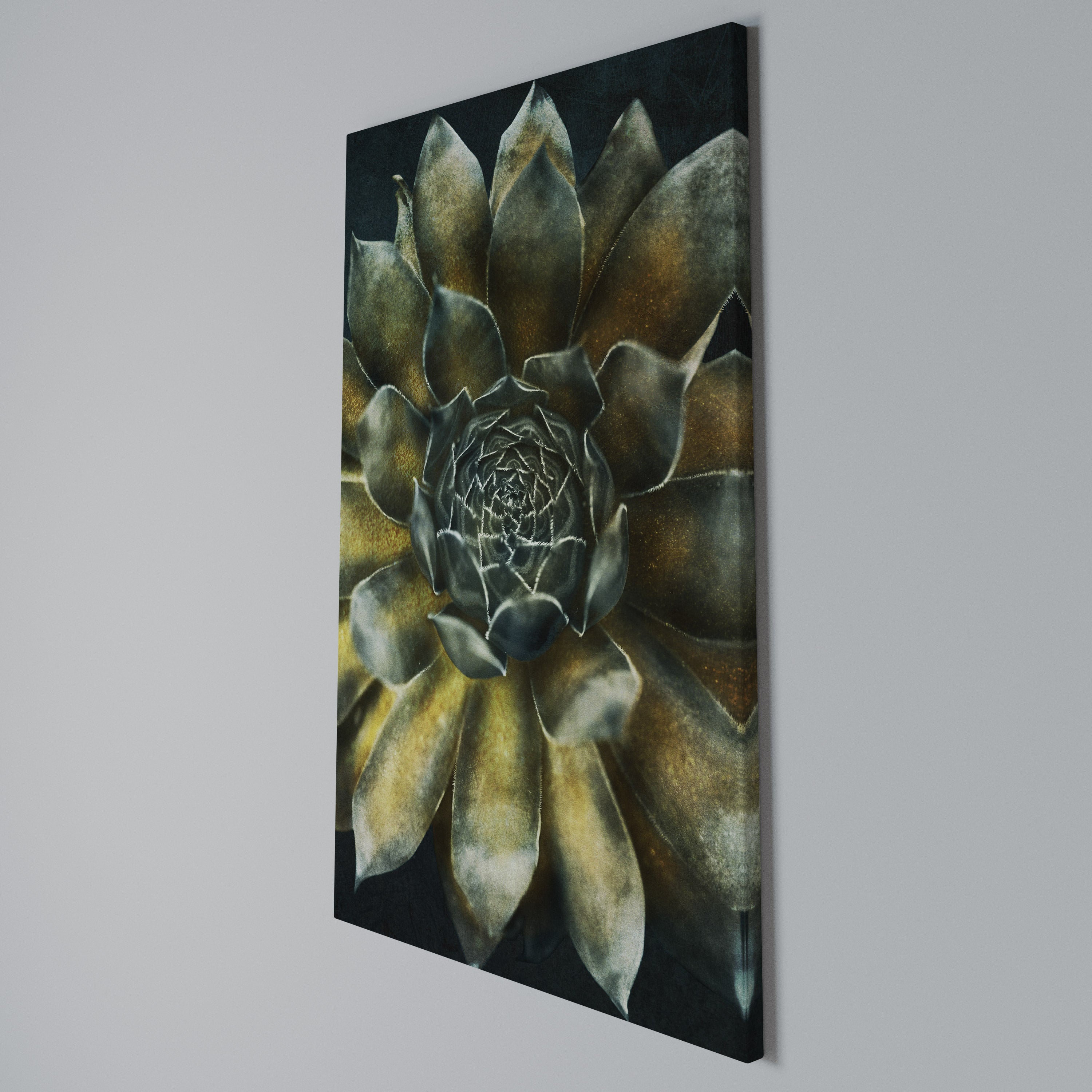 MYSTICAL SUCCULENT WHIRL Quadro em tela vertical