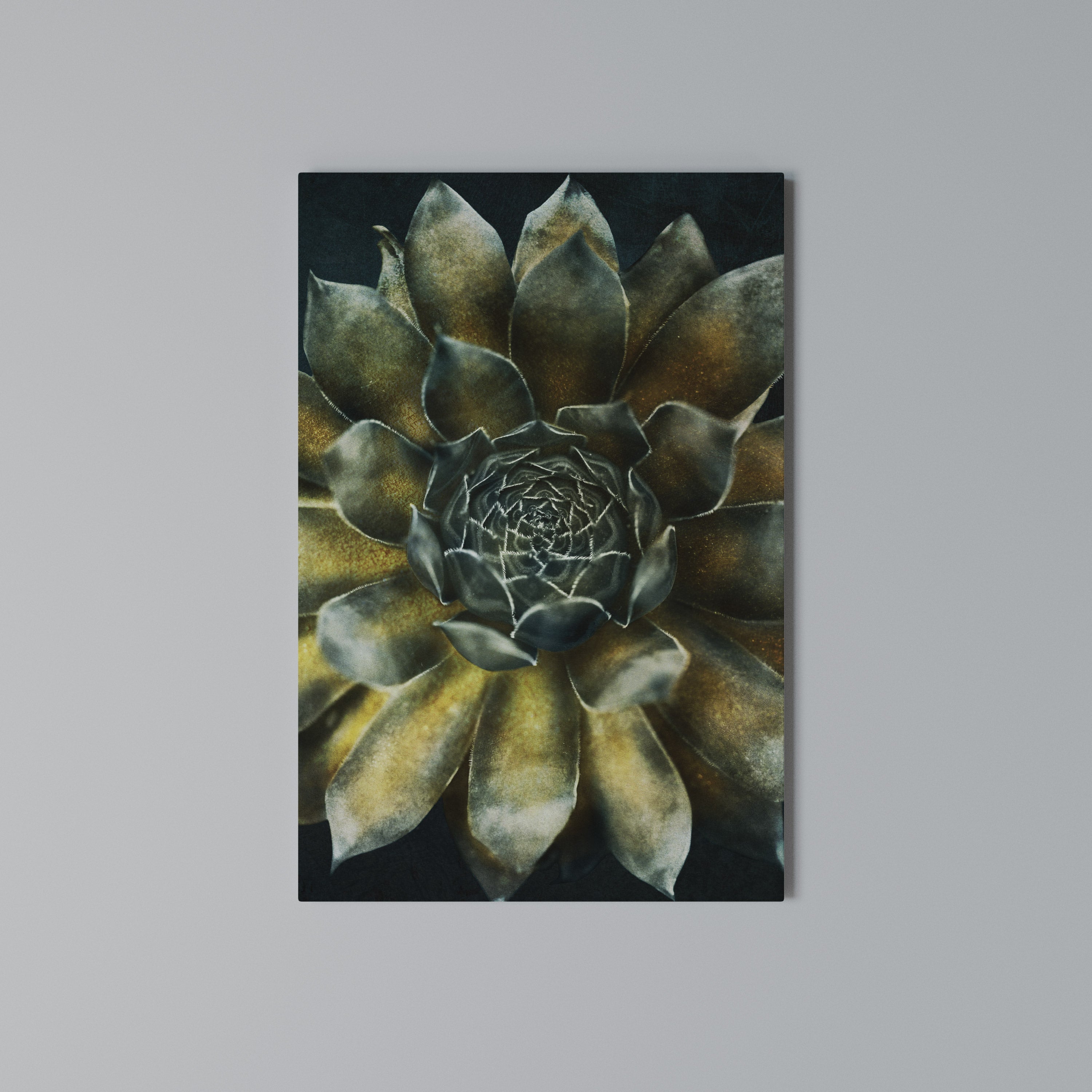 MYSTICAL SUCCULENT WHIRL Quadro em tela vertical