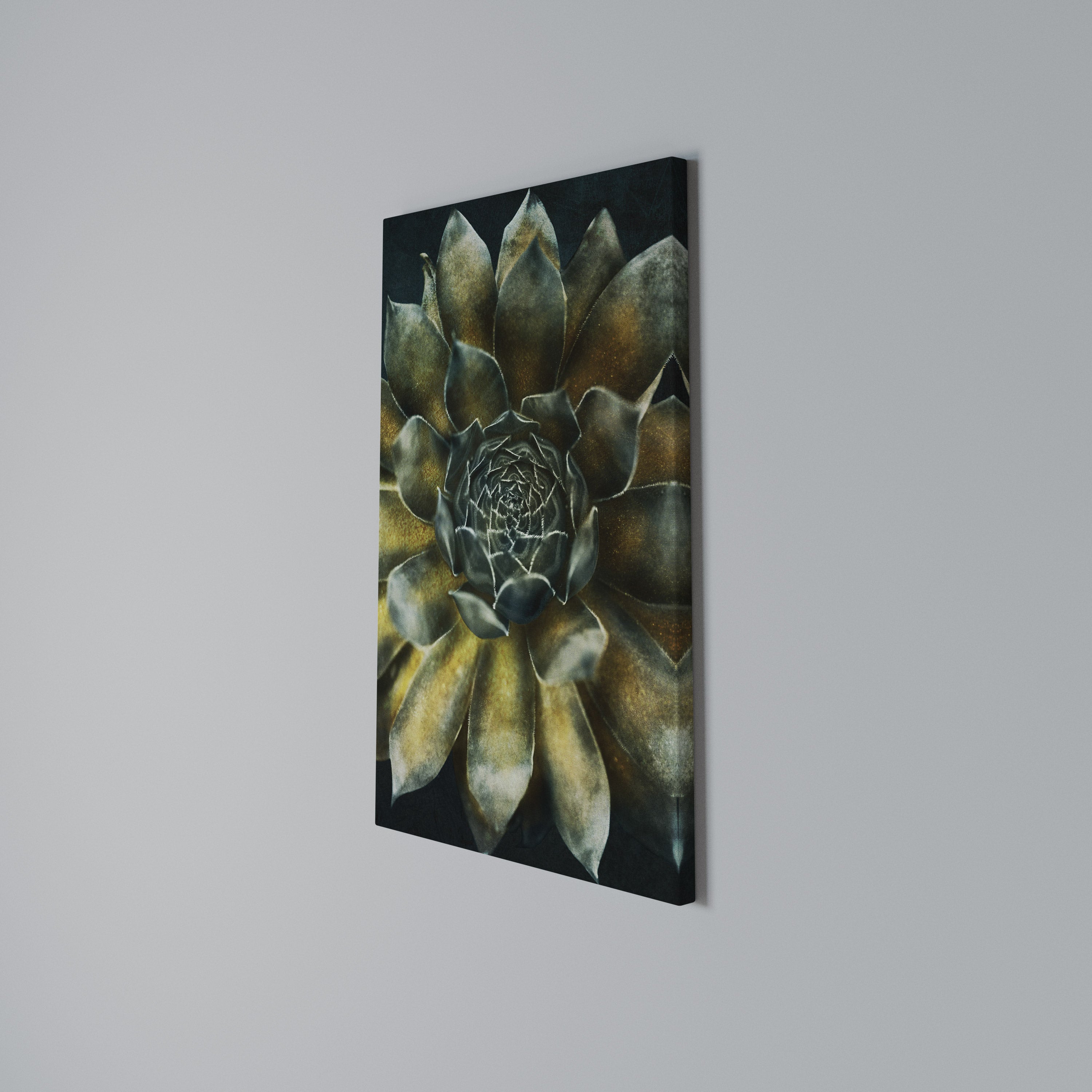 MYSTICAL SUCCULENT WHIRL Quadro em tela vertical