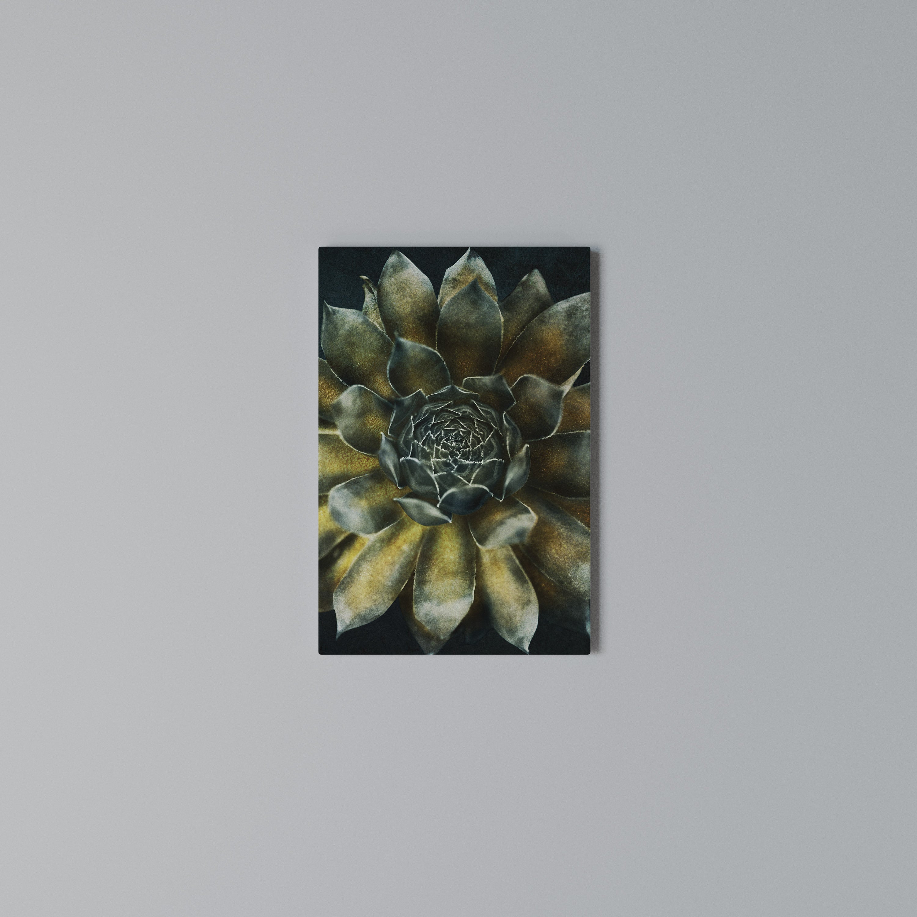 MYSTICAL SUCCULENT WHIRL Quadro em tela vertical