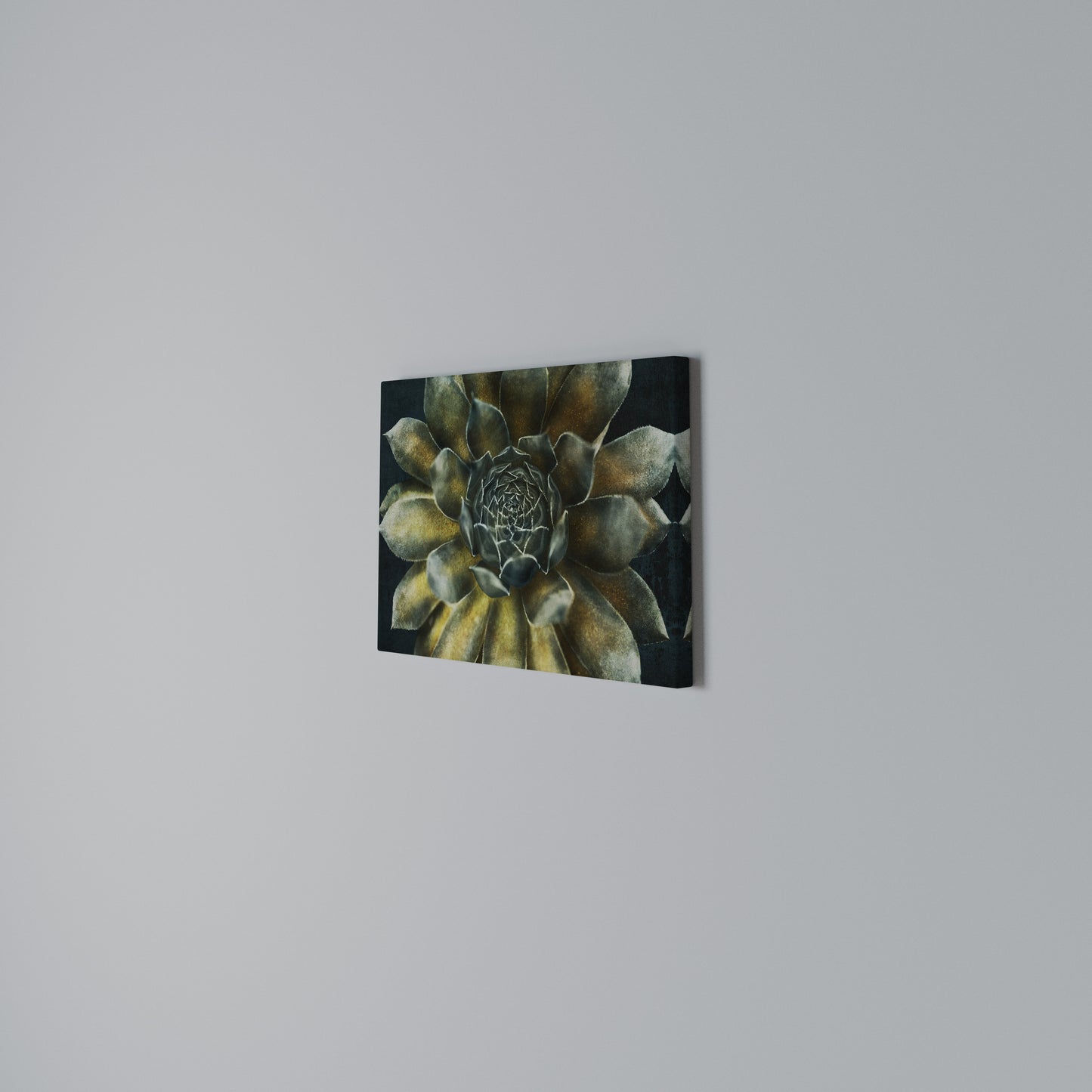 MYSTICAL SUCCULENT WHIRL Horizontal Canvas Print