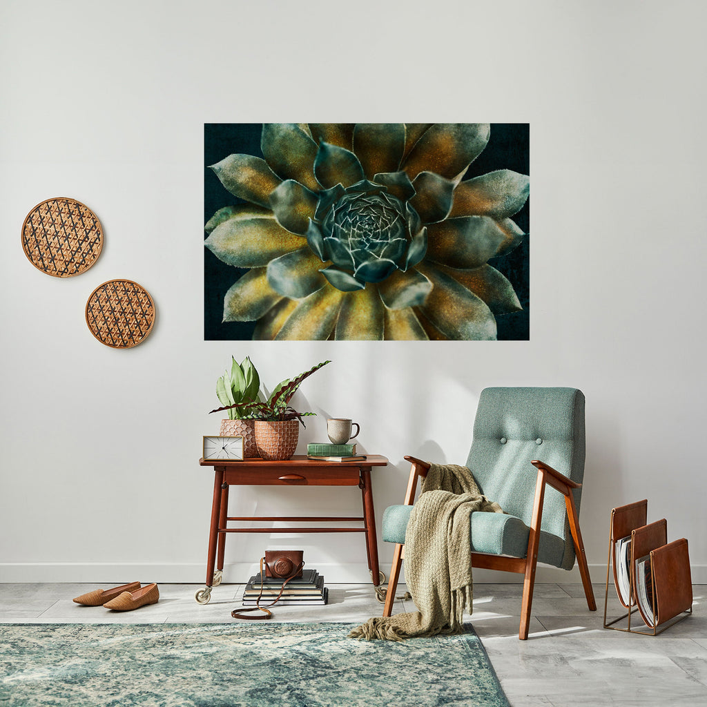 MYSTICAL SUCCULENT WHIRL Poster Horizontal Autocolante