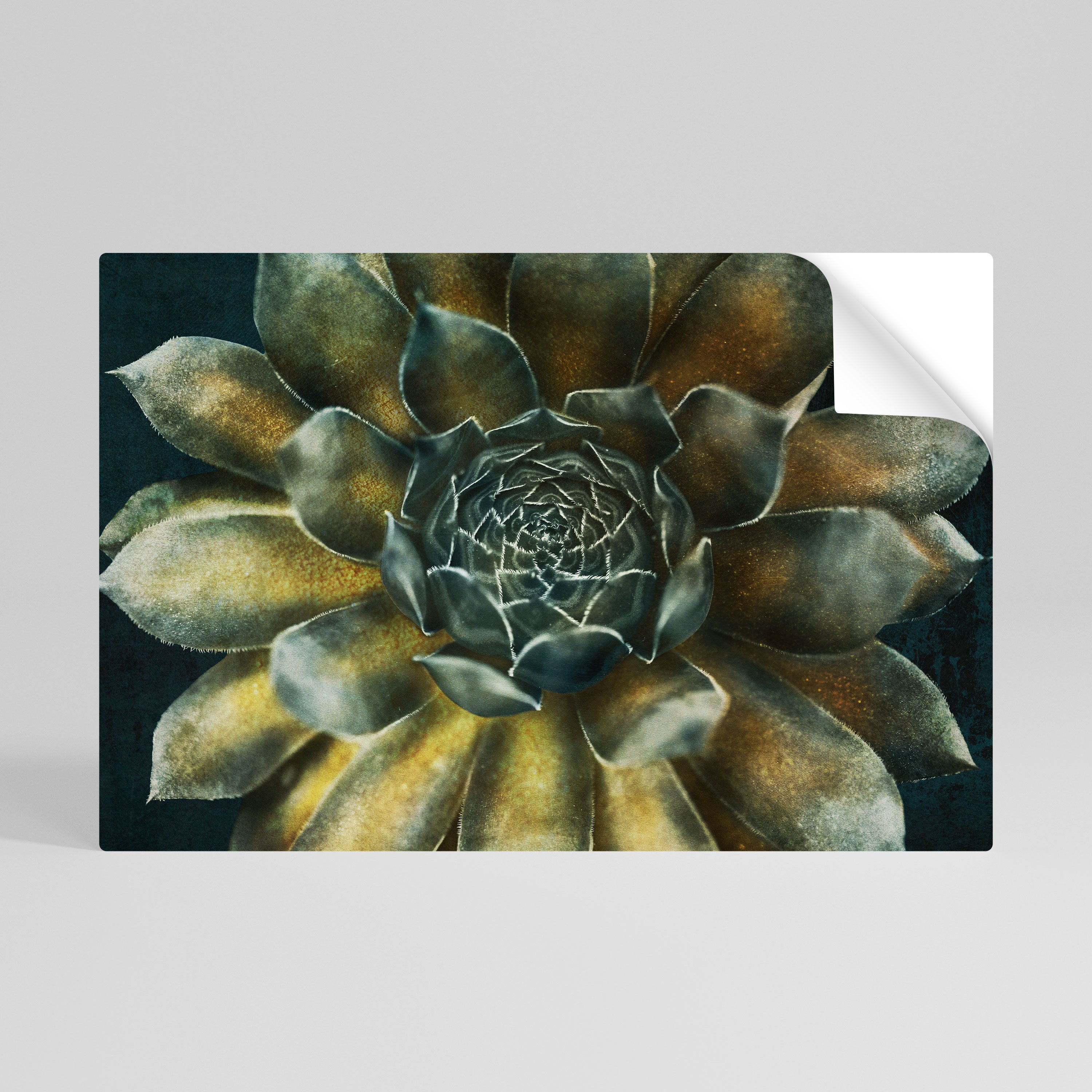 MYSTICAL SUCCULENT WHIRL Póster Autocolante Horizontal