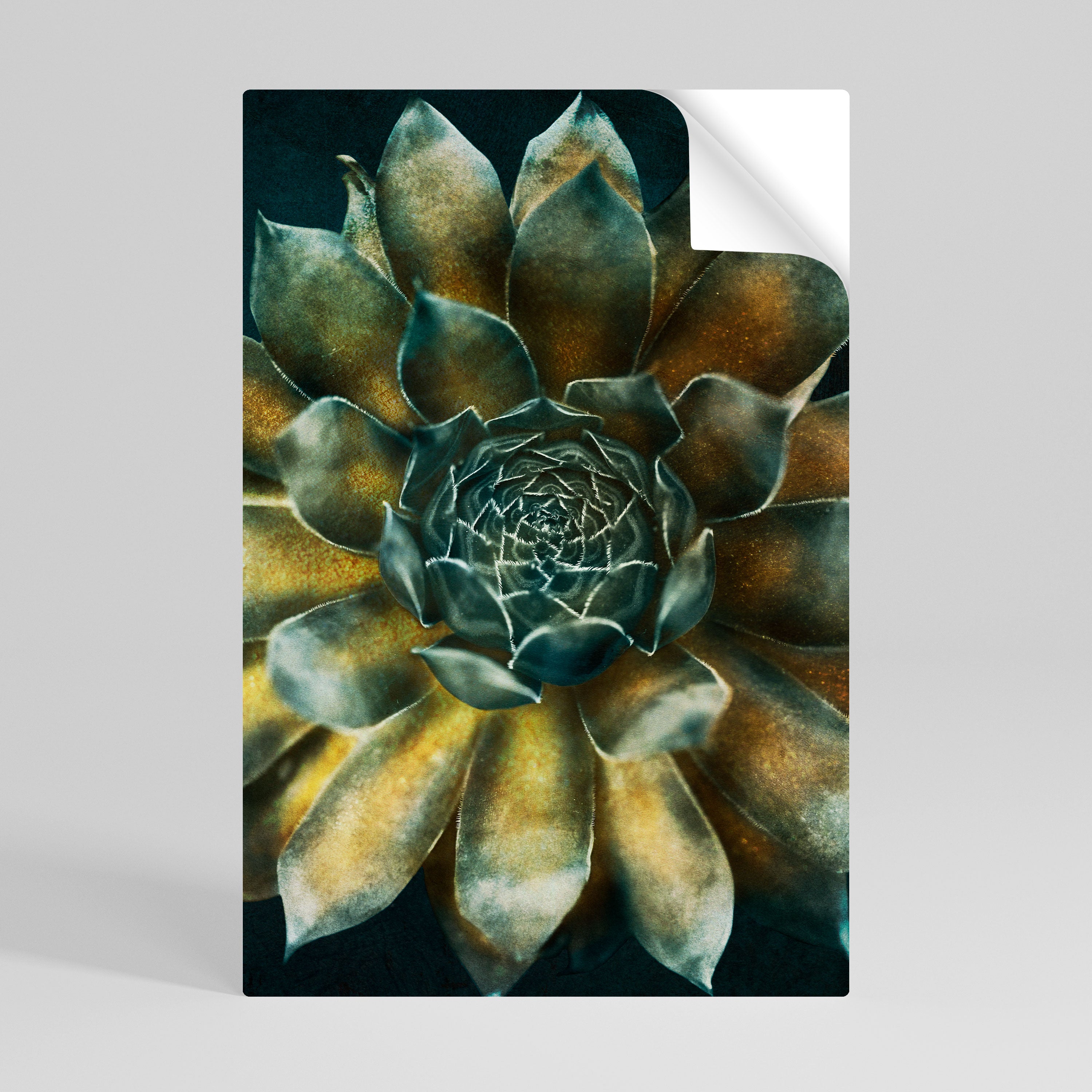 MYSTICAL SUCCULENT WHIRL Póster Autocolante Vertical