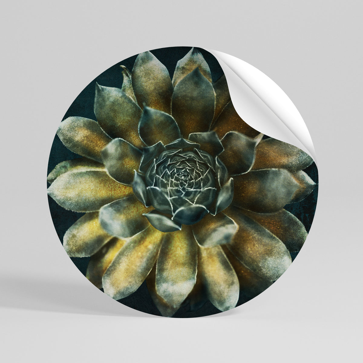 MYSTICAL SUCCULENT WHIRL Autocolante Redondo Removível