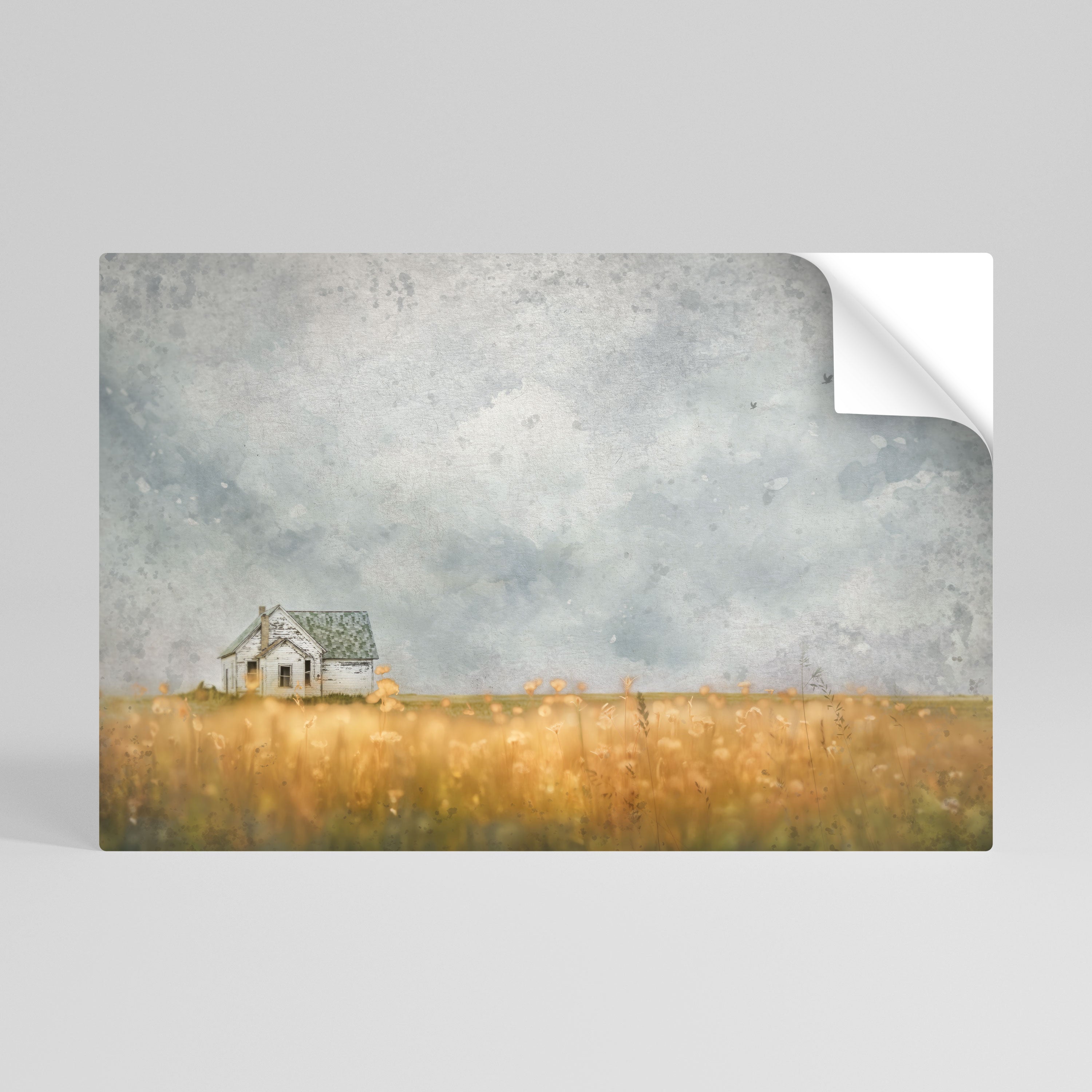 FIELDS OF FADING LIGHT Póster Autocolante Horizontal