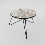 WILD TENDERNESS Coffee Table