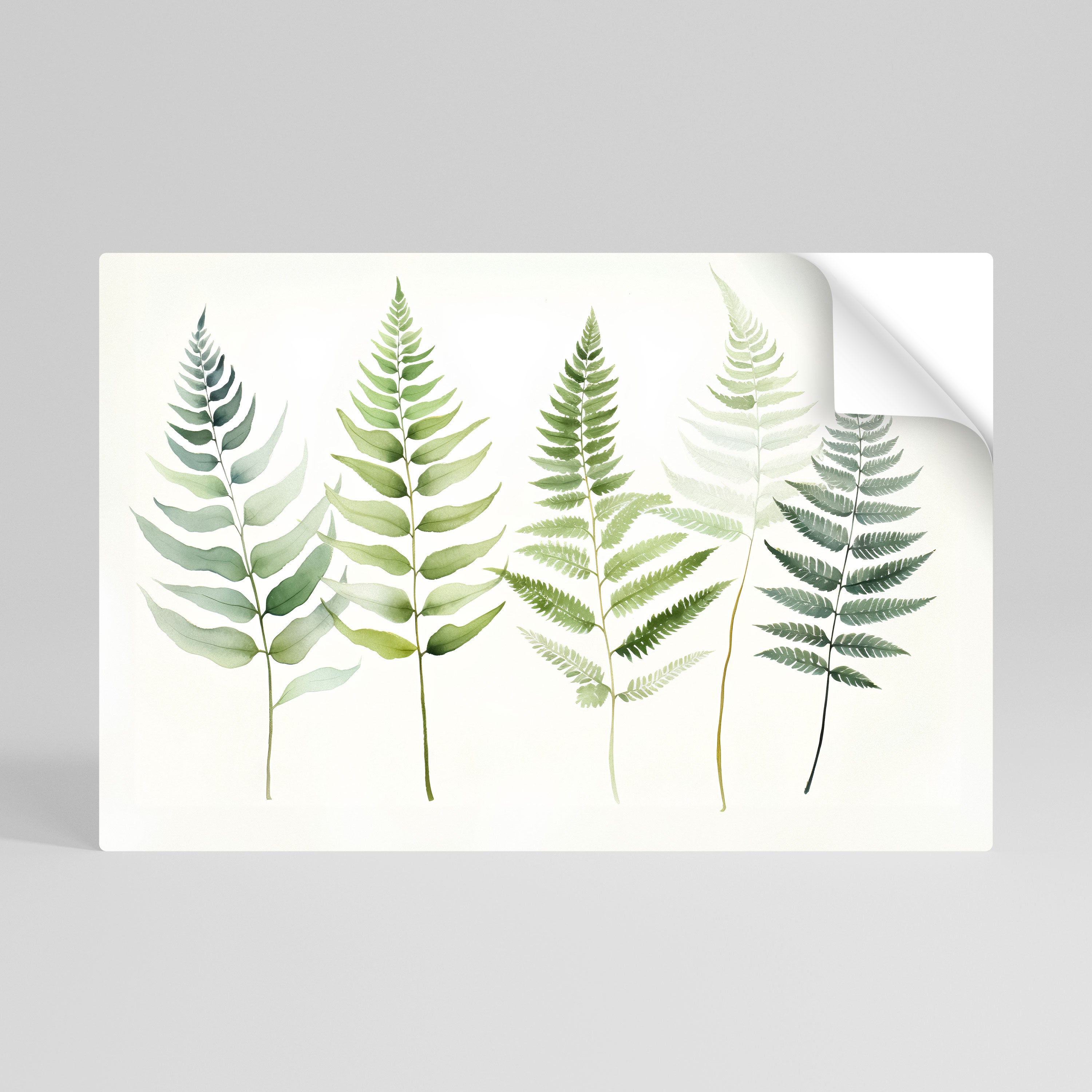 FERN MAJESTY Póster Autocolante Horizontal