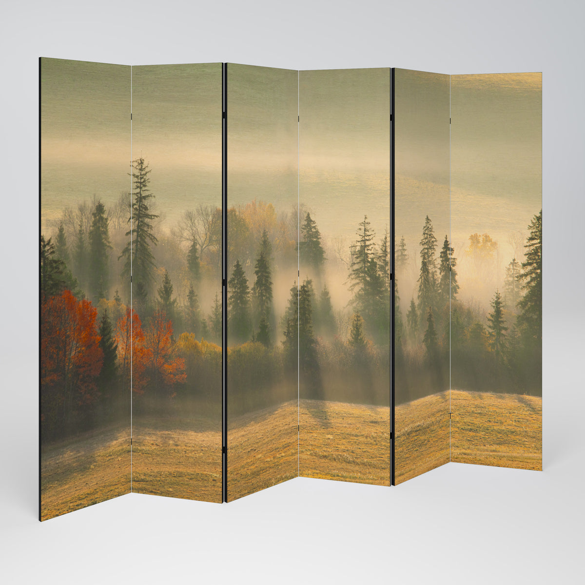 GILDING HOURS Biombo de 6 Painéis