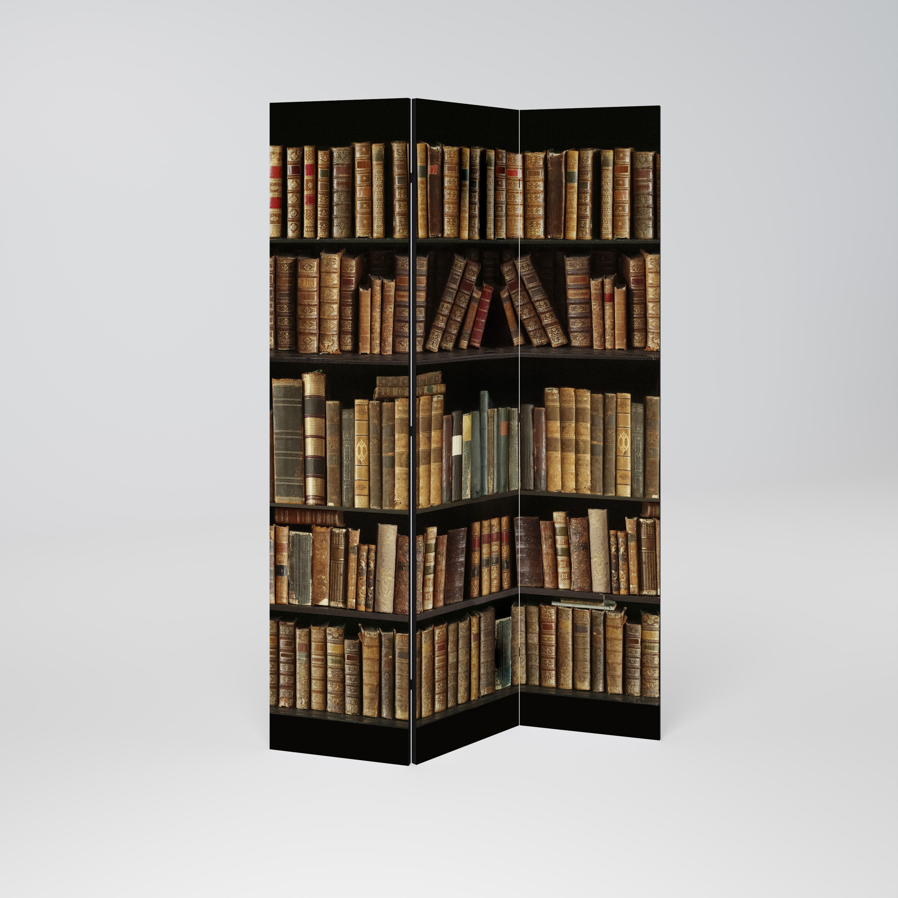 SHELVES OF TIME Biombo de 3 Painéis