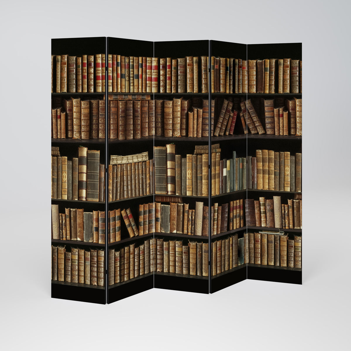 SHELVES OF TIME Biombo de 5 Painéis