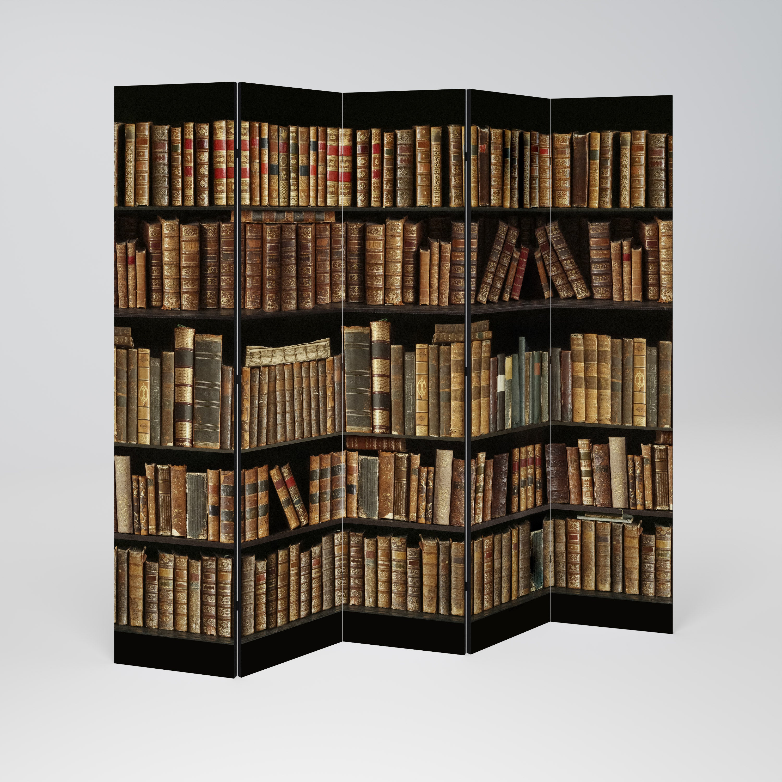 SHELVES OF TIME Biombo de 5 Painéis