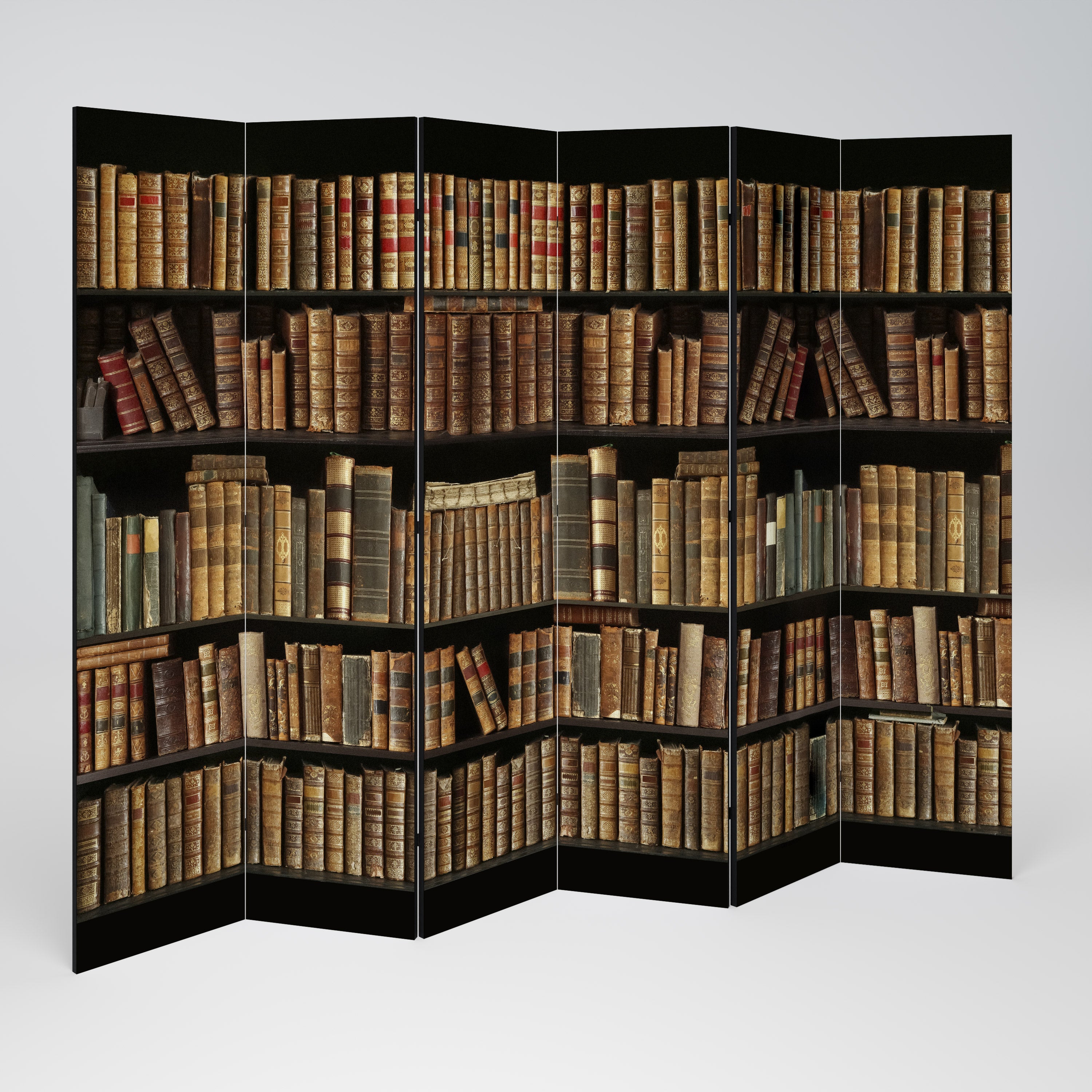 SHELVES OF TIME Decorative 6-Panel Room Divider