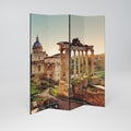 MARVELS OF THE PAST Decorative 4-Panel Room Divider
