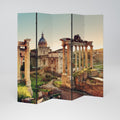 MARVELS OF THE PAST Decorative 5-Panel Room Divider