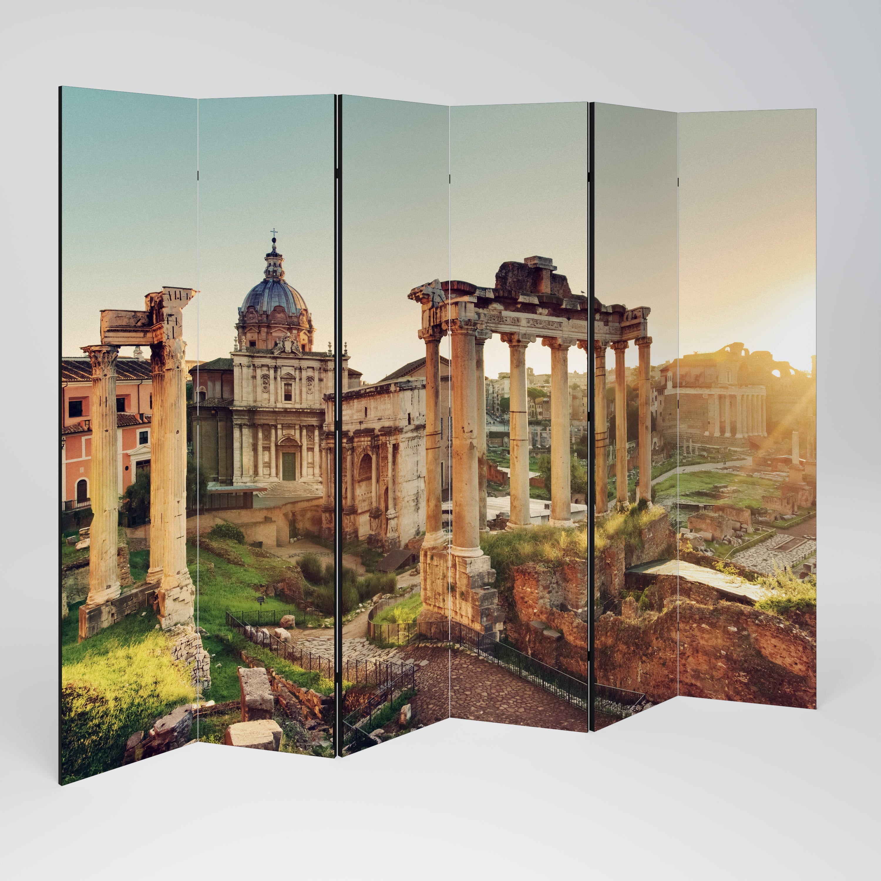 MARVELS OF THE PAST Decorative 6-Panel Room Divider