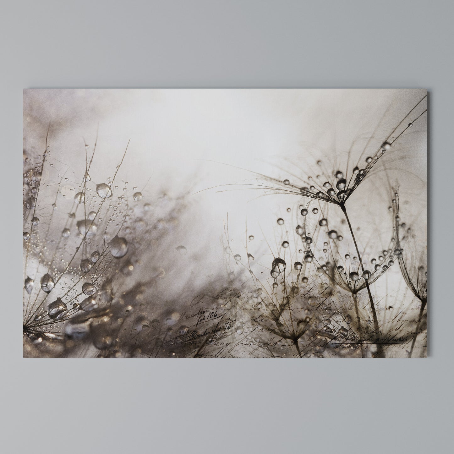 FLEETING DAWN Horizontal Canvas Print