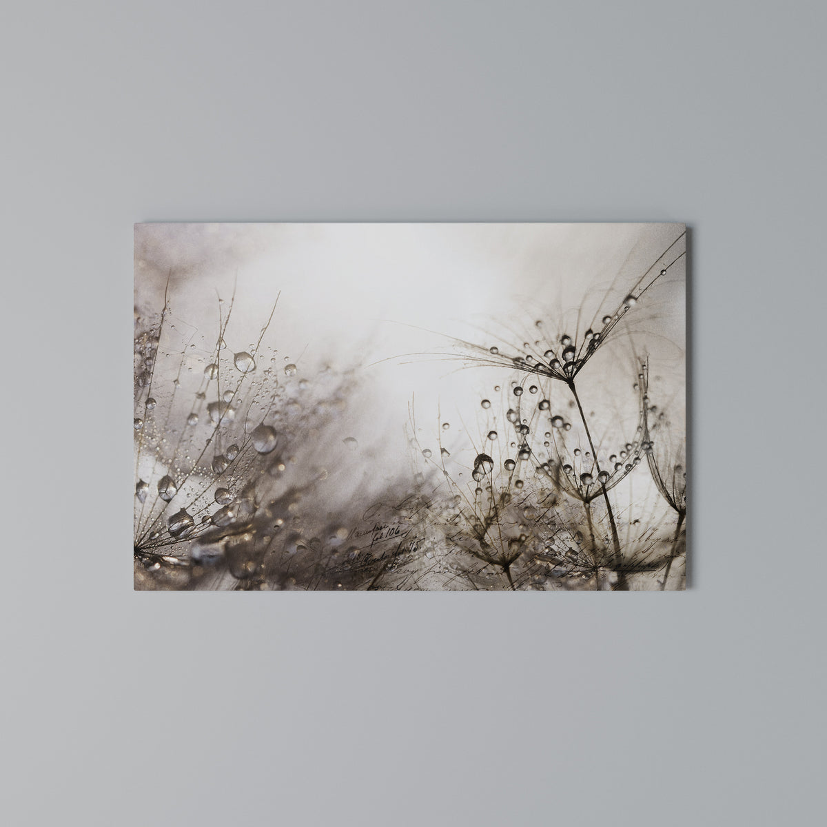 FLEETING DAWN Horizontal Canvas Print