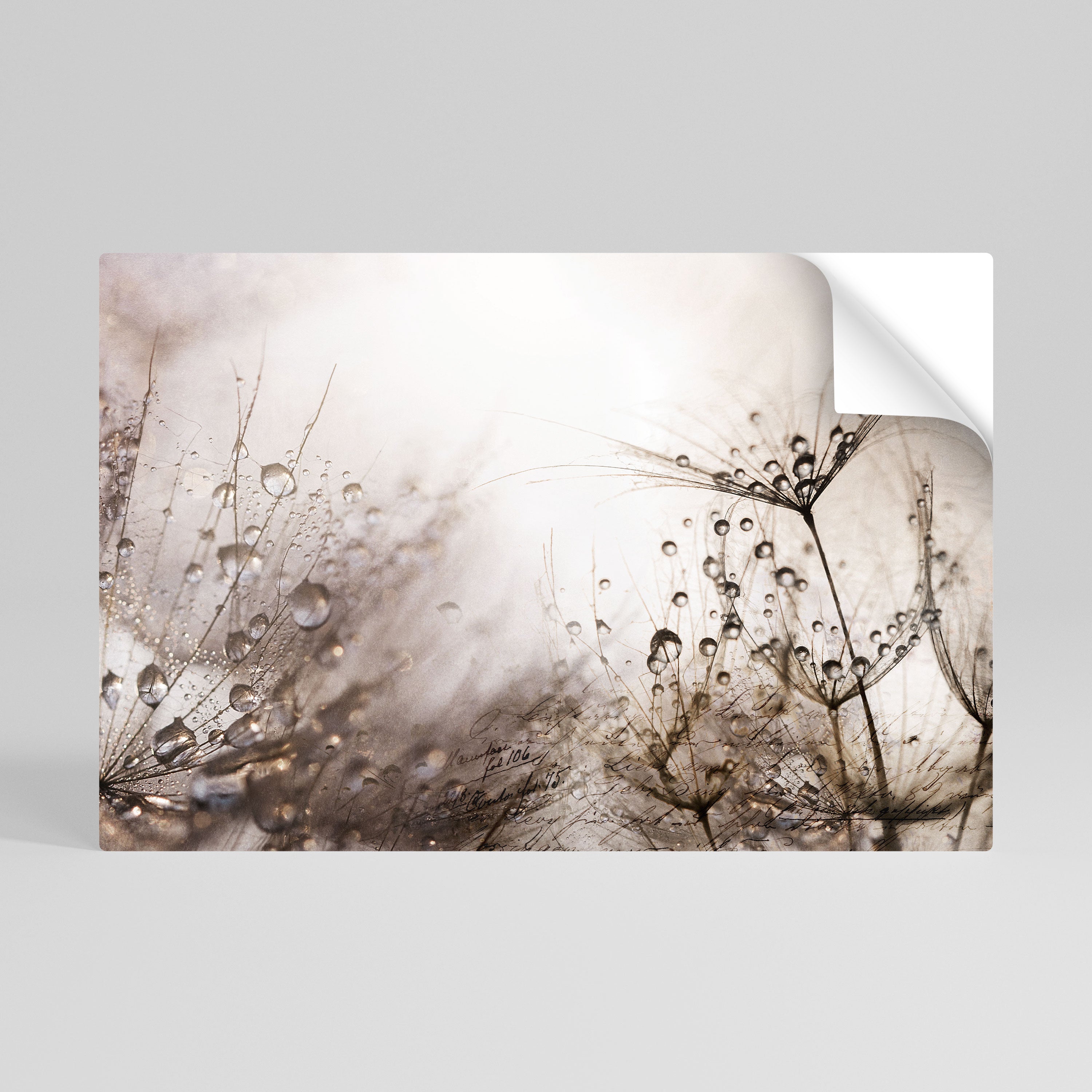 FLEETING DAWN Póster Autocolante Horizontal