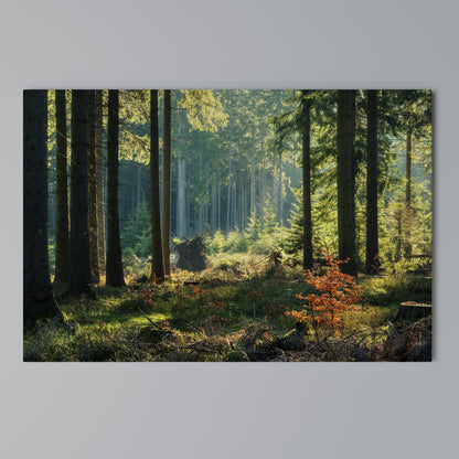 SUNLIT FOREST SERENADE Horizontal Canvas Print