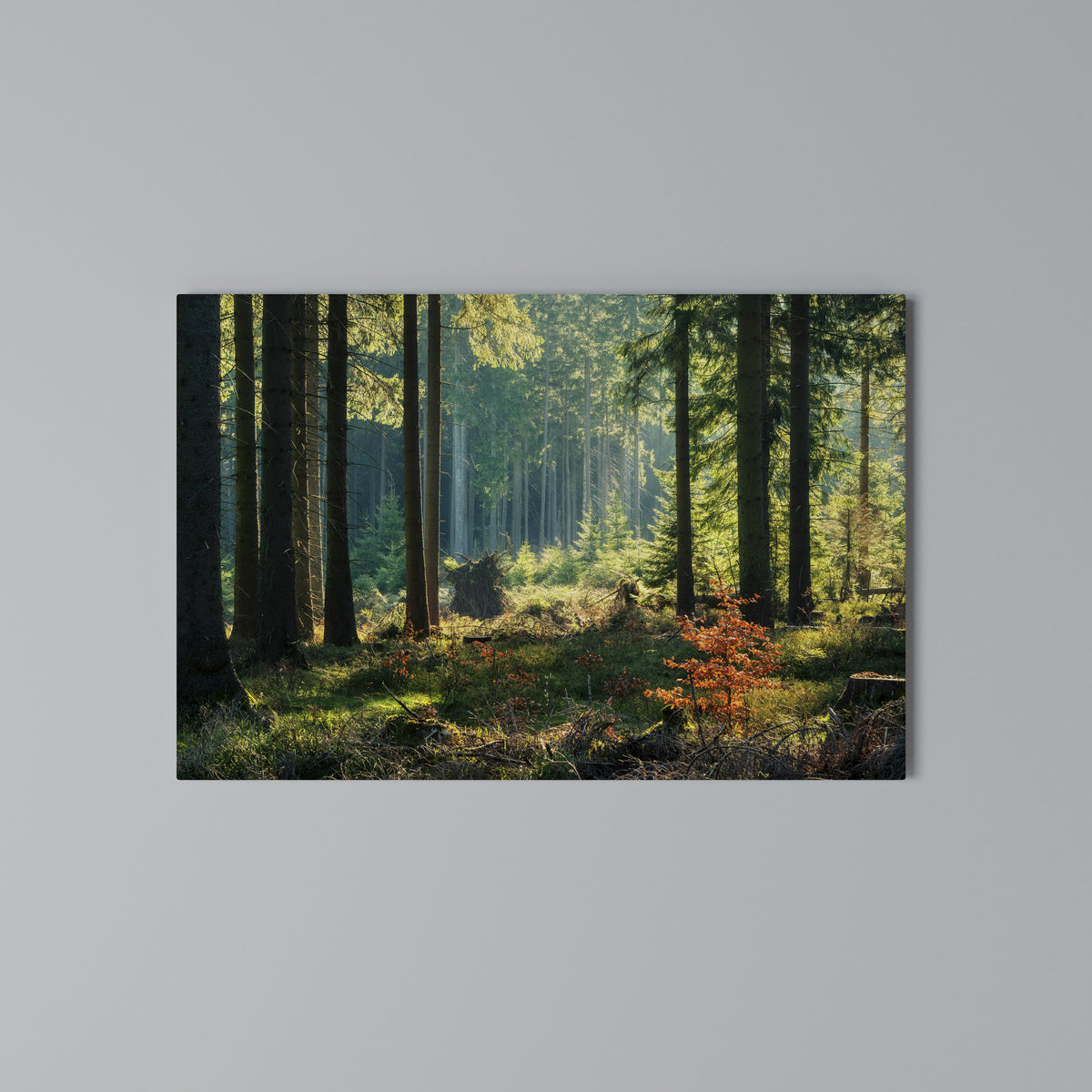 SUNLIT FOREST SERENADE Horizontal Canvas Print