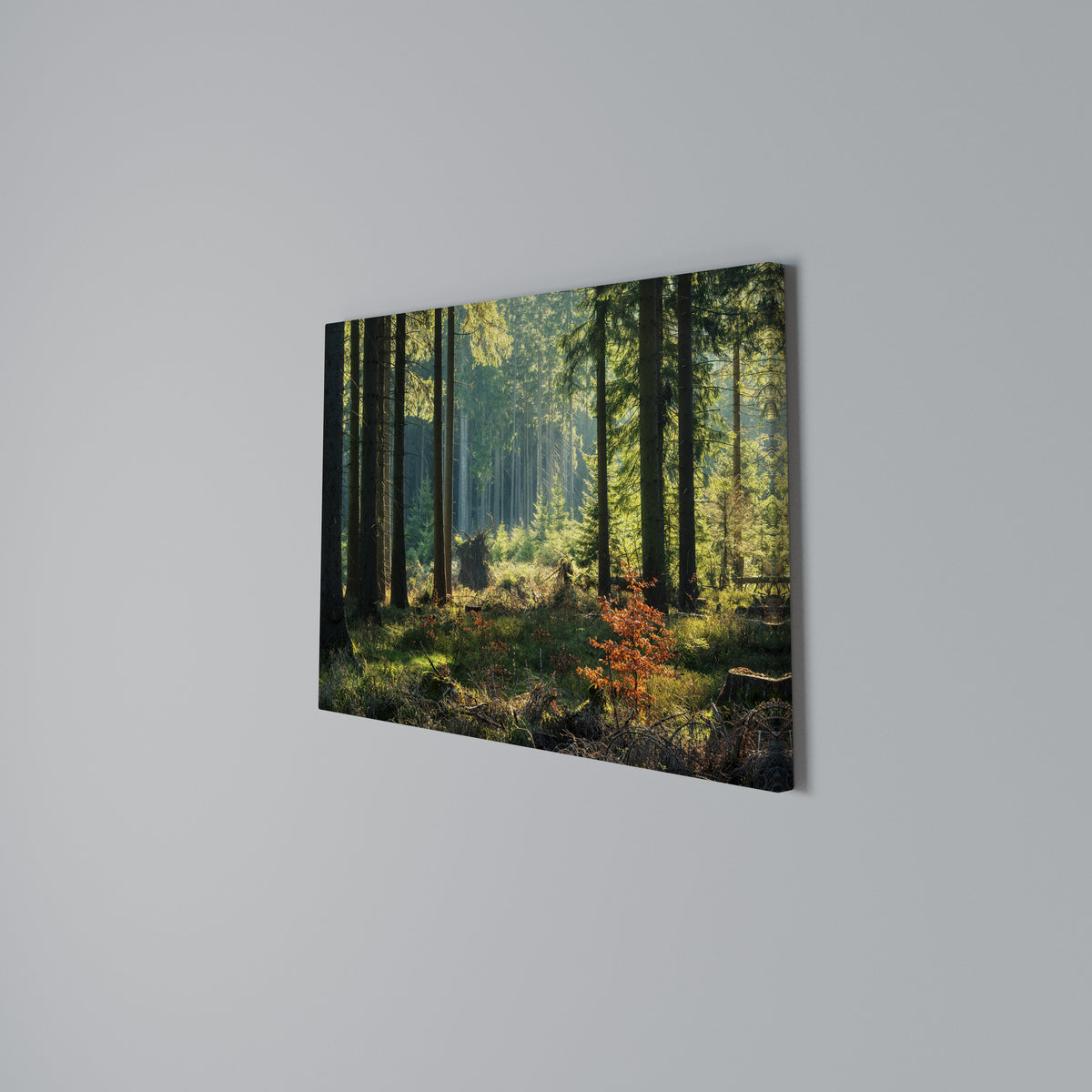 SUNLIT FOREST SERENADE Horizontal Canvas Print