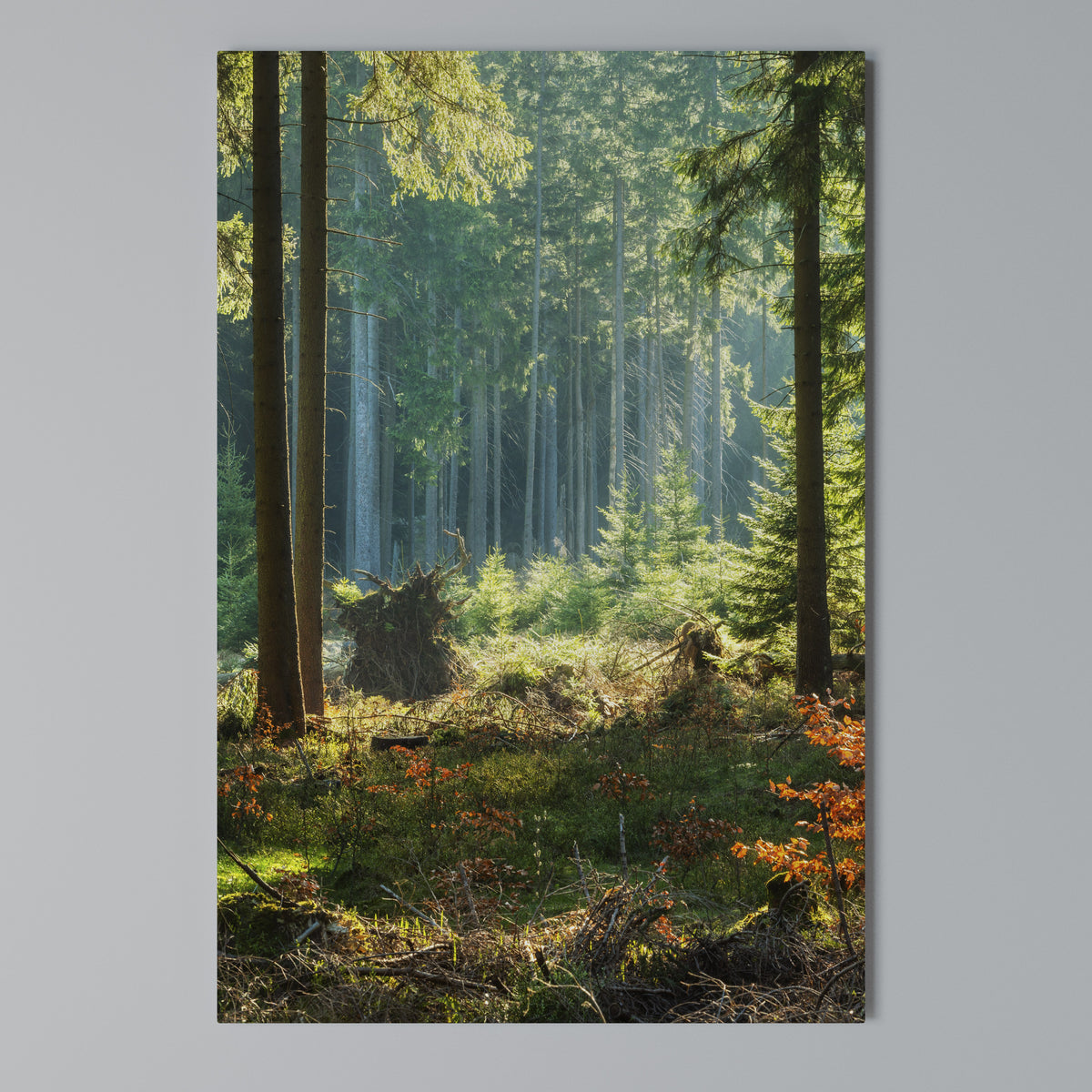 SUNLIT FOREST SERENADE Quadro em tela vertical