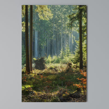 SUNLIT FOREST SERENADE Quadro em tela vertical