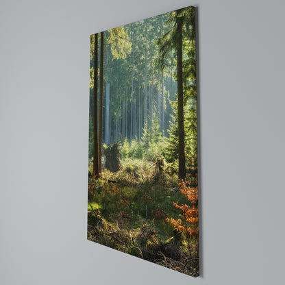 SUNLIT FOREST SERENADE Quadro em tela vertical