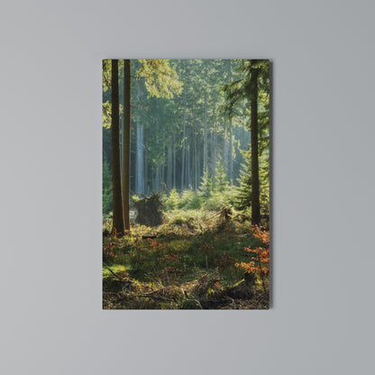 SUNLIT FOREST SERENADE Quadro em tela vertical