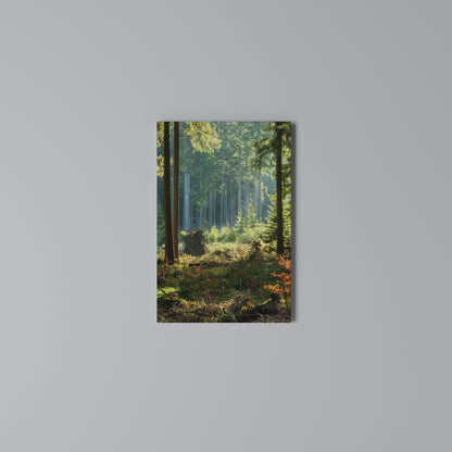 SUNLIT FOREST SERENADE Quadro em tela vertical