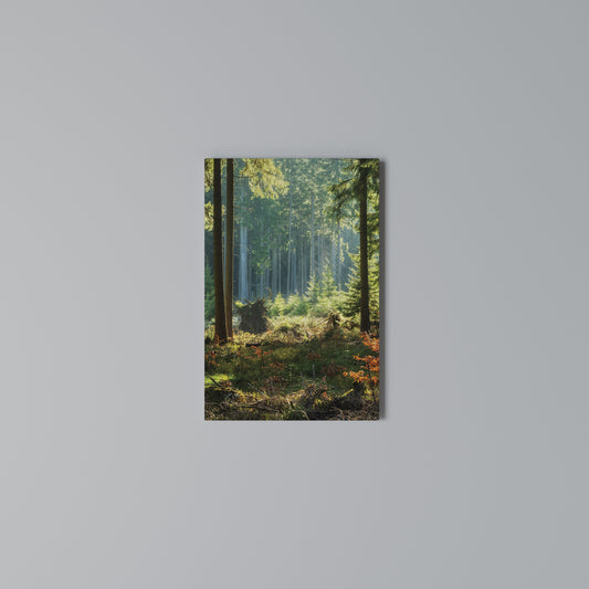 SUNLIT FOREST SERENADE Quadro em tela vertical