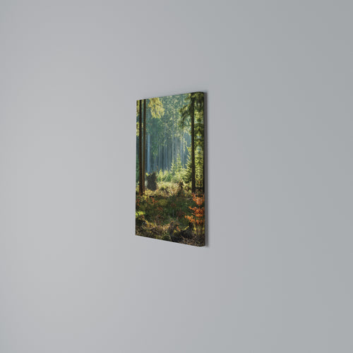 SUNLIT FOREST SERENADE Quadro em tela vertical