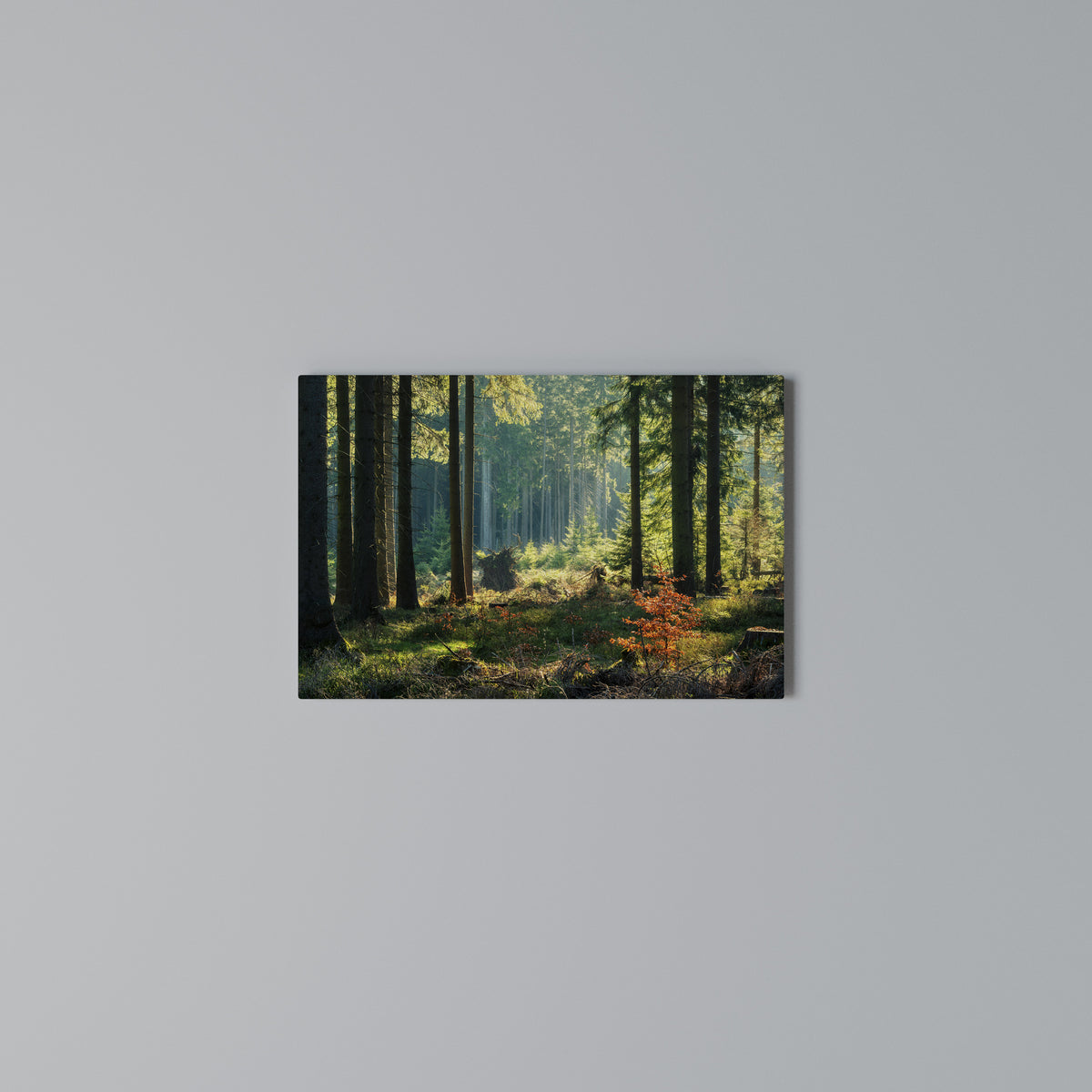 SUNLIT FOREST SERENADE Horizontal Canvas Print