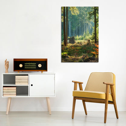 SUNLIT FOREST SERENADE Quadro em tela vertical