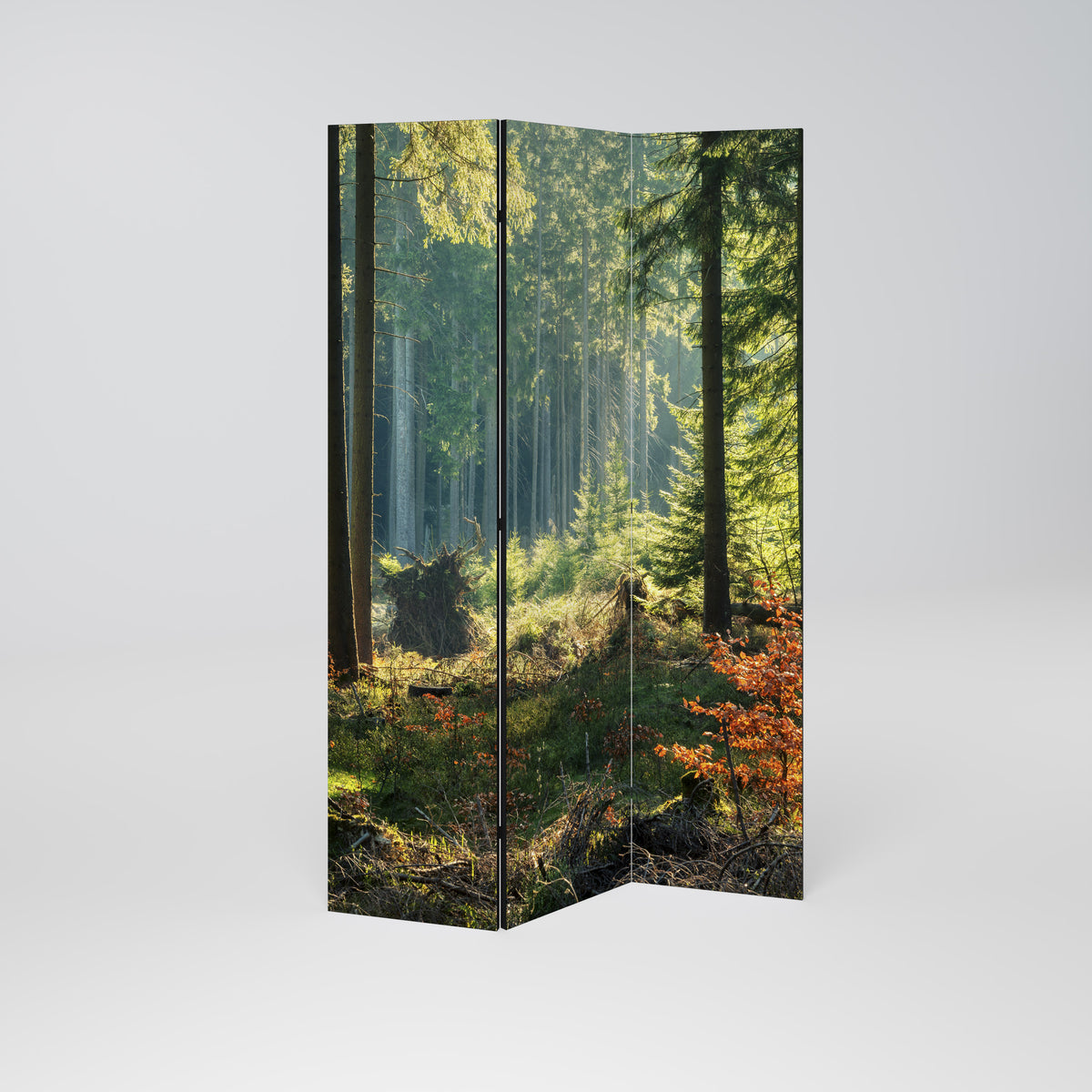 SUNLIT FOREST SERENADE Biombo de 3 Painéis