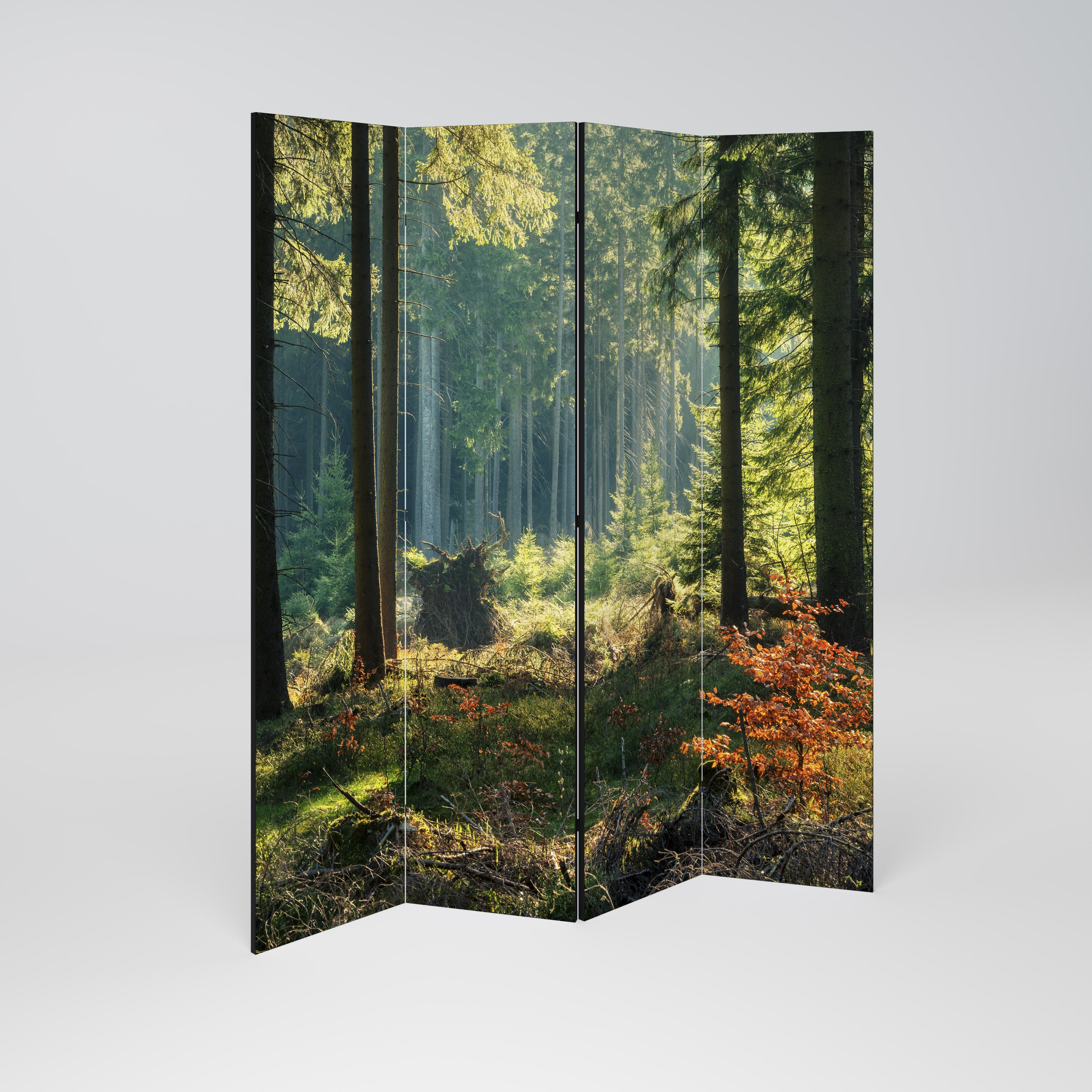SUNLIT FOREST SERENADE 4-Panel Room Divider