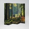 SUNLIT FOREST SERENADE Decorative 5-Panel Room Divider