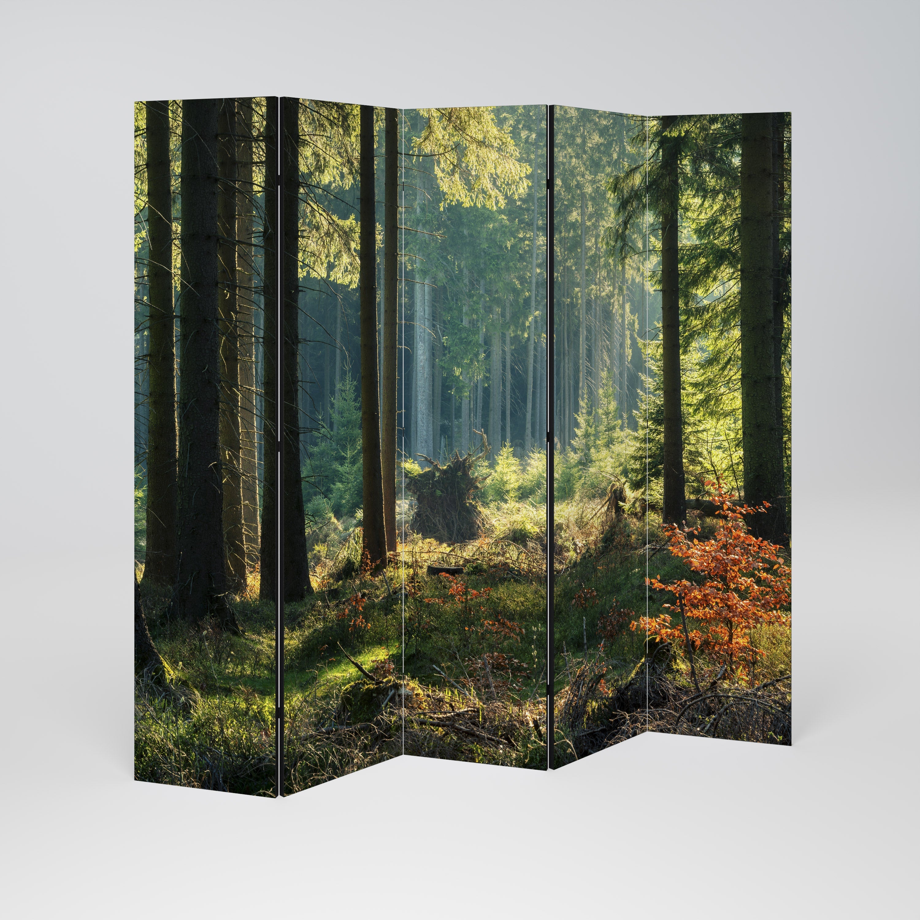 SUNLIT FOREST SERENADE Decorative 5-Panel Room Divider