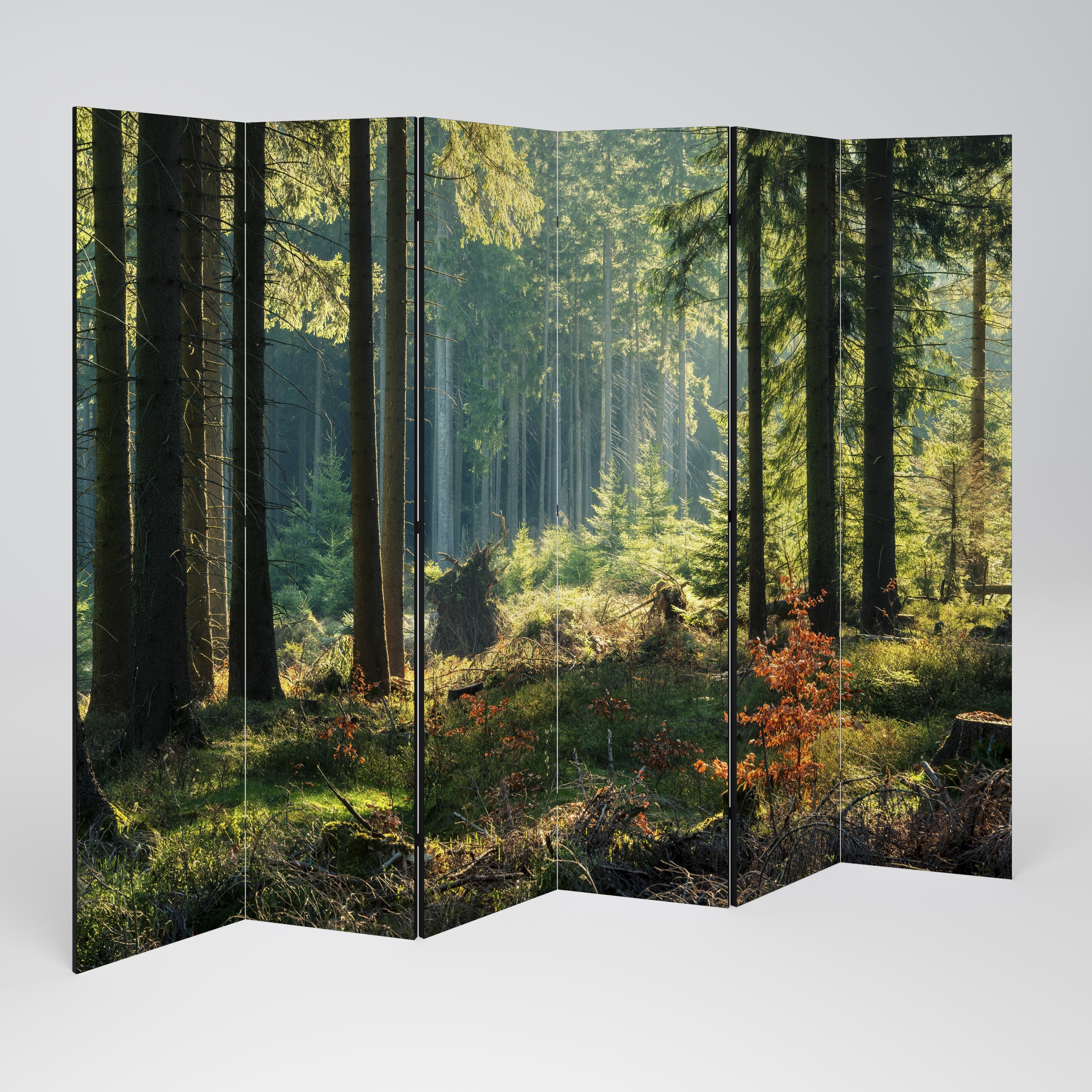 SUNLIT FOREST SERENADE Decorative 6-Panel Room Divider